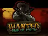 Wanted Dead Or A Wild