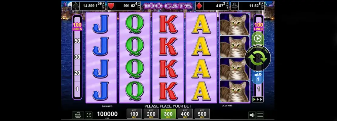 Erste Spielansicht von 100 Cats