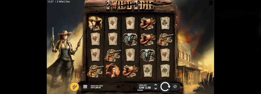 Erste Spielansicht von 2 Wild 2 Die