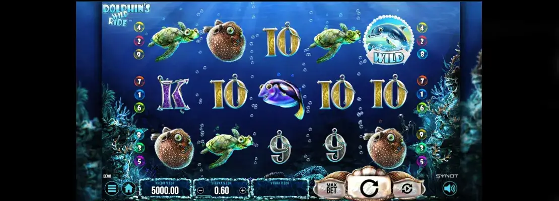 Erste Spielansicht von Dolphins Wild Ride