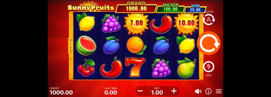 Erste Spielansicht von Sunny Fruits Hold And Win