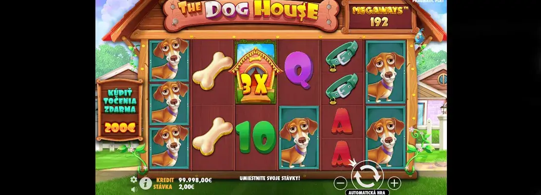 Erste Spielansicht von The Dog House Megaways