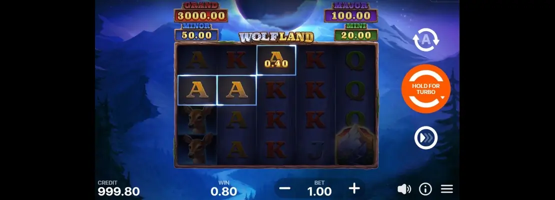 Erste Spielansicht von Wolf Land Hold And Win